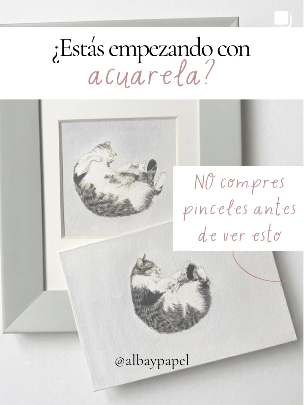 Publicación de Instagram de Alba y Papel (@albaypapel)