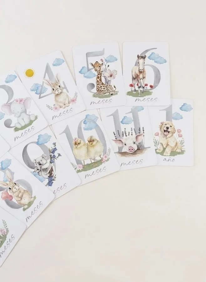 Tarjetas cumplemes — Animales & Flores